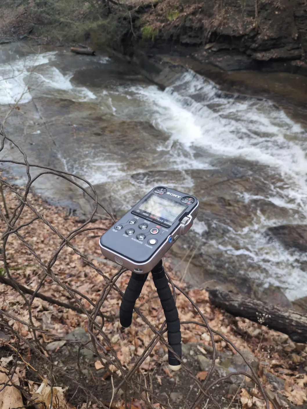 A small waterfall in a creek, with a field recorder on a fence in the foreground