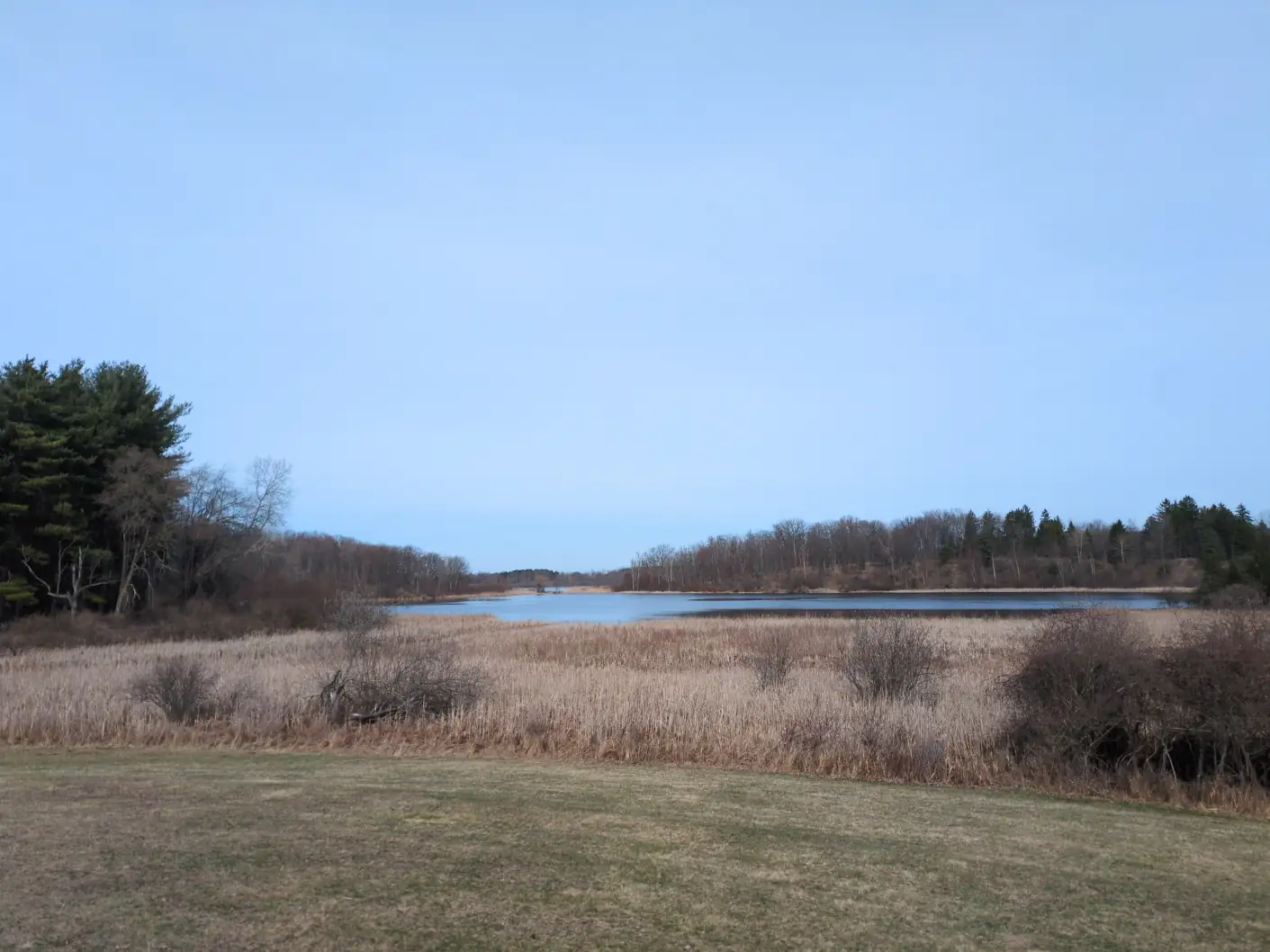 A landscape with a forest ringing a large pond. The grass is mowed in the foreground.