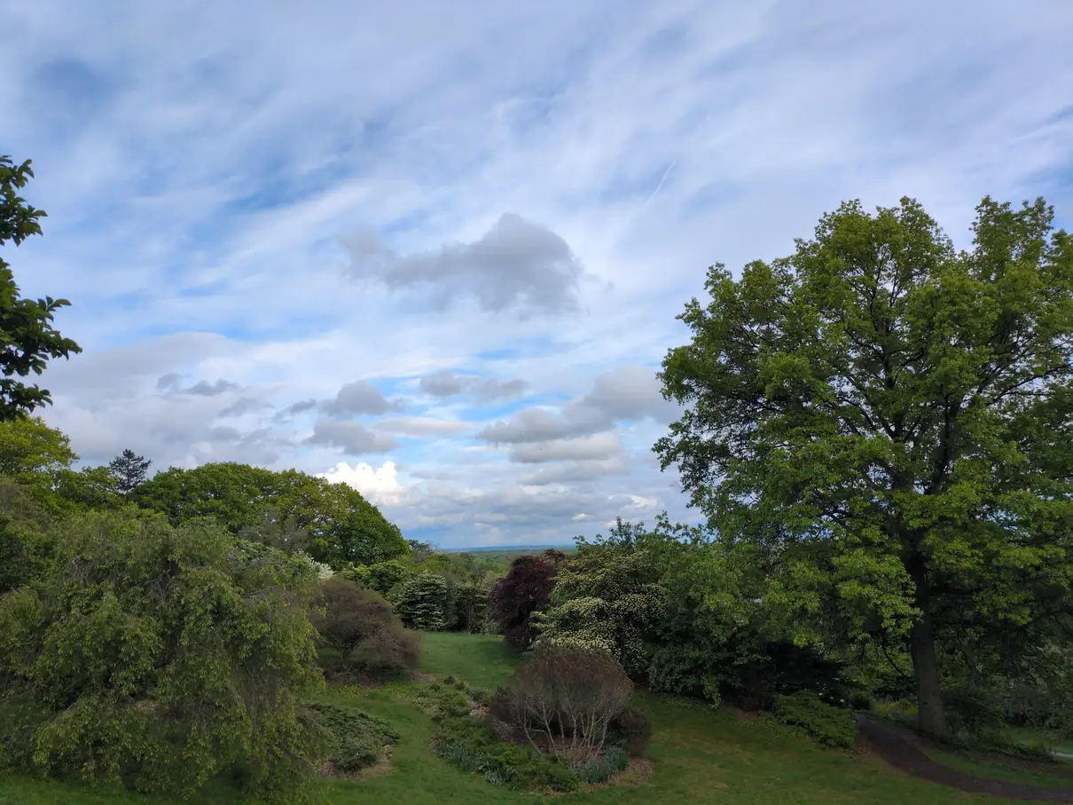 A partly cloudy sky viewed down a grassy slope through some trees